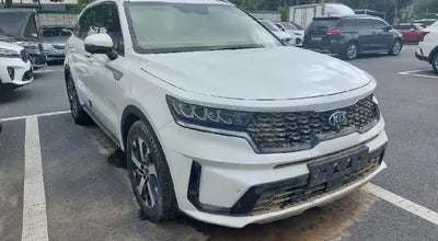 2021 Kia Sorento KNARH81BHMA019022 VIN:KNARH81BHMA019022