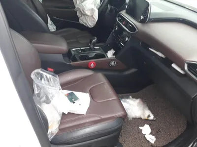 2019 Hyundai Santa FE KMHS581CDLU237680 VIN:KMHS581CDLU237680