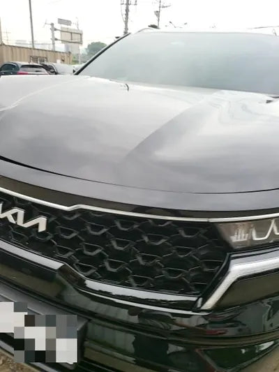 2022 Kia Sorento KNARL81GBNA105043 VIN:KNARL81GBNA105043