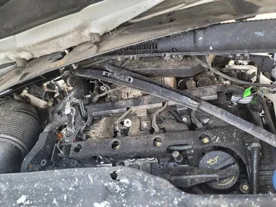 2020 Kia Carnival KNANC81BBMS004700 VIN:KNANC81BBMS004700
