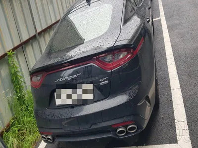 2020 Kia Stinger KNAE751CDLS085806 VIN:KNAE751CDLS085806