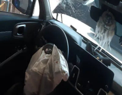 2021 Kia Sorento KNARJ81BGMA025300 VIN:KNARJ81BGMA025300