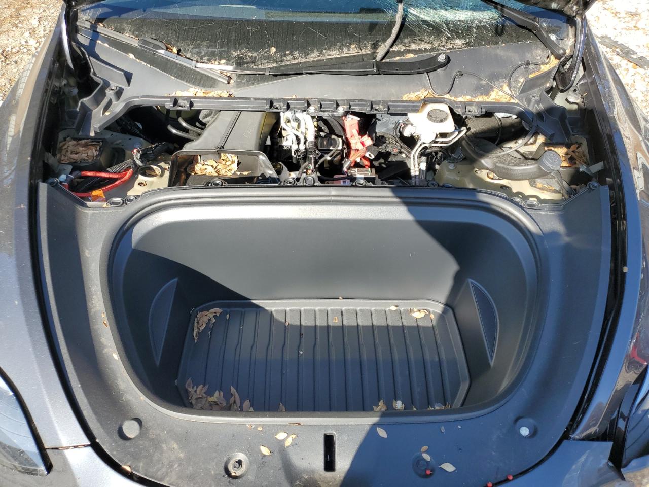 2024 TESLA MODEL Y  VIN:7SAYGDEE3RF995207