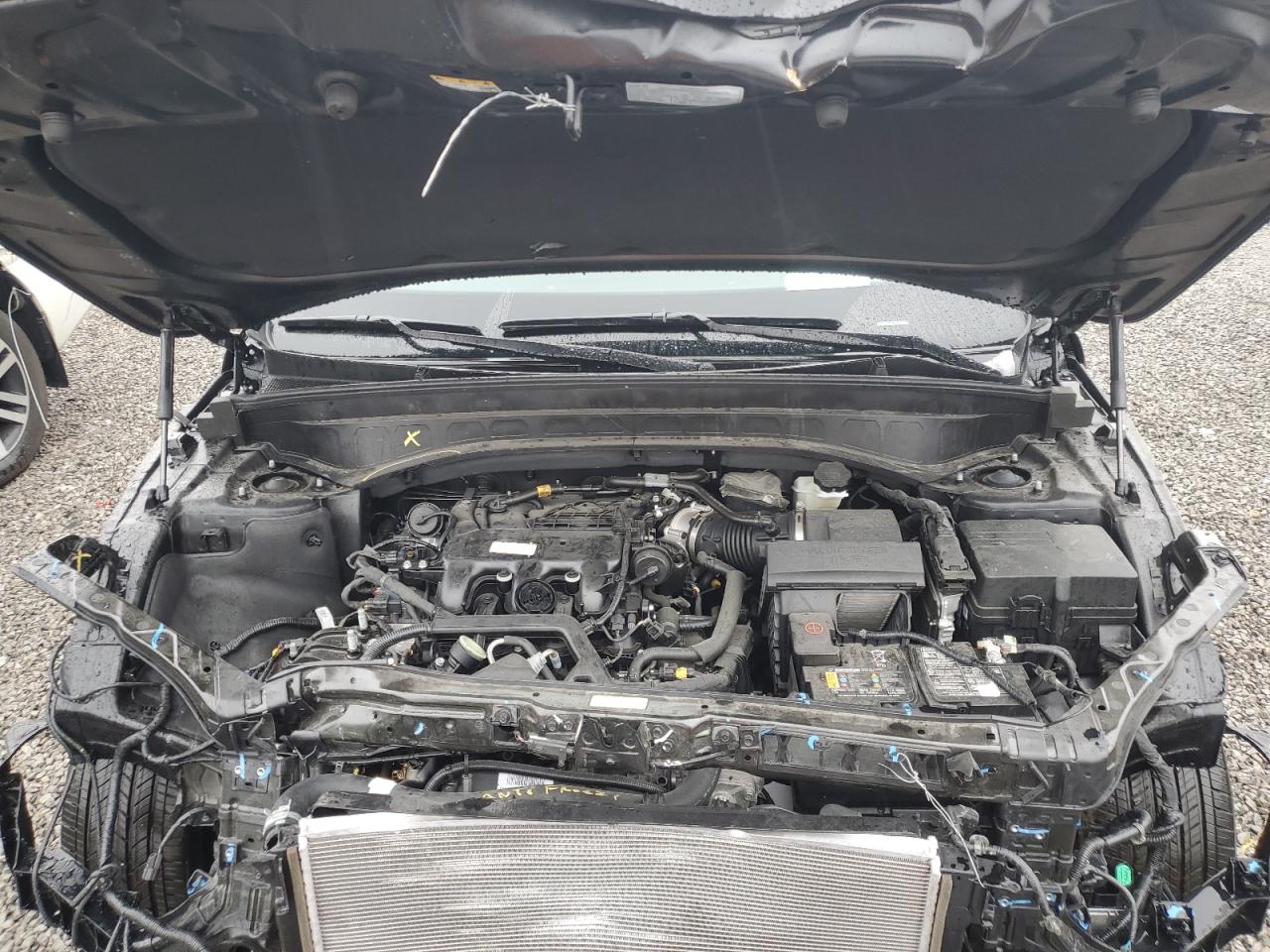 2024 KIA TELLURIDE SX VIN:5XYP5DGC1RG507245