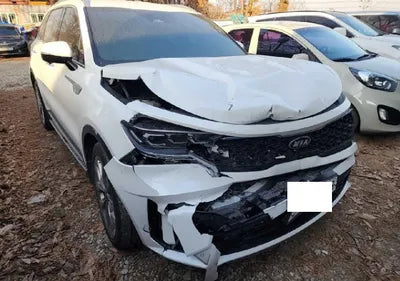 2021 Kia Sorento KNARG81BGMA025824 VIN:KNARG81BGMA025824