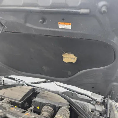 2021 Genesis GV80 VIN: