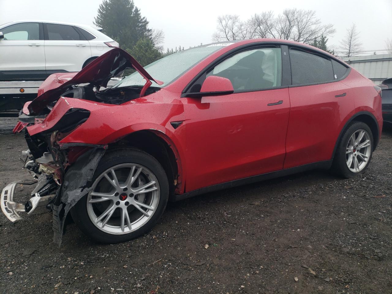2023 TESLA MODEL Y  VIN:7SAYGDEE6PF756375