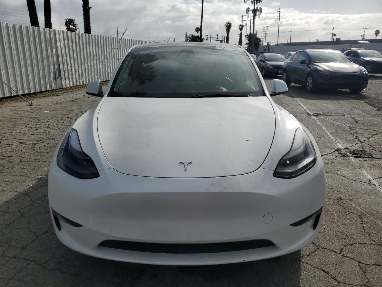 2023 TESLA MODEL Y  VIN:7SAYGDEE1PF746921