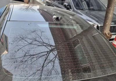 2019 Genesis G80 VIN: