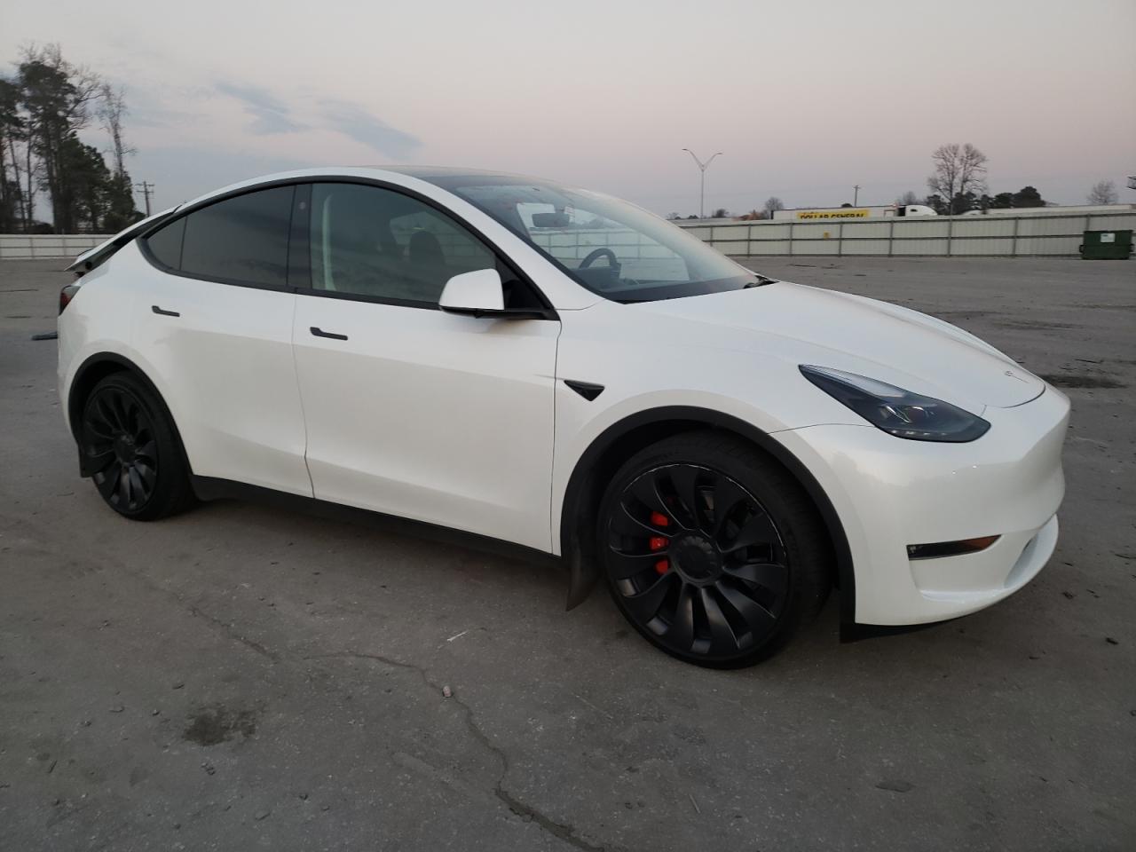 2023 TESLA MODEL Y  VIN:7SAYGDEF2PF754065