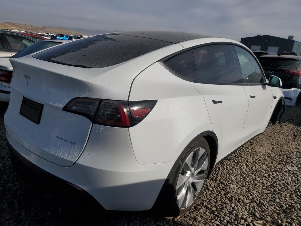 2024 TESLA MODEL Y  VIN:7SAYGDEE8RF089117