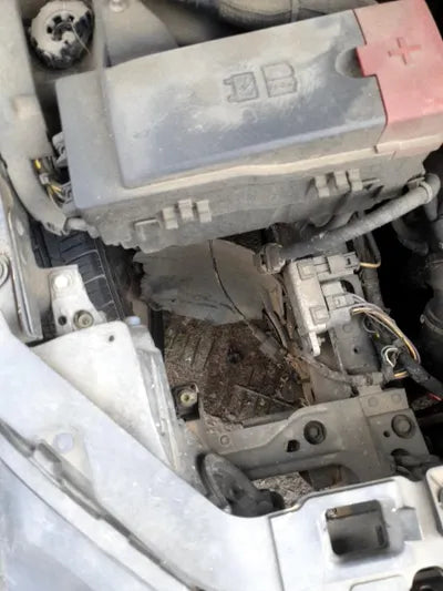 2016 Jaguar XE 314KMSAJAB4BN3GA9 VIN:314KMSAJAB4BN3GA9