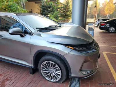 2021 Lexus RX 450 JTJBGMCA1M2063003 VIN:JTJBGMCA1M2063003