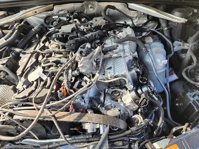2021 Audi A4 WAUZZZF42MN001071 VIN:WAUZZZF42MN001071