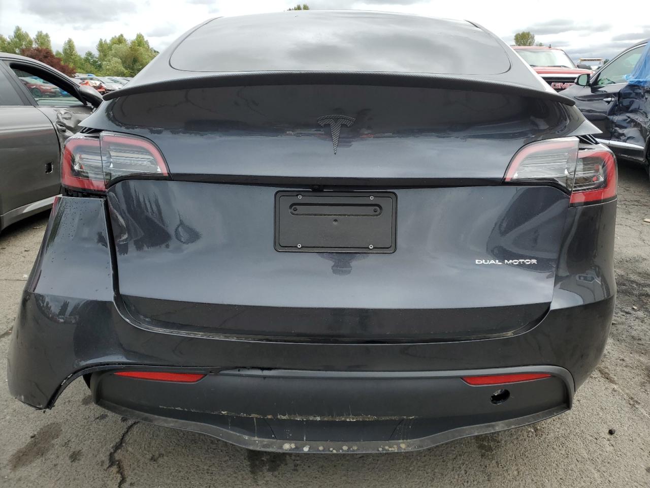 2024 TESLA MODEL Y  VIN:7SAYGDEE8RF083009