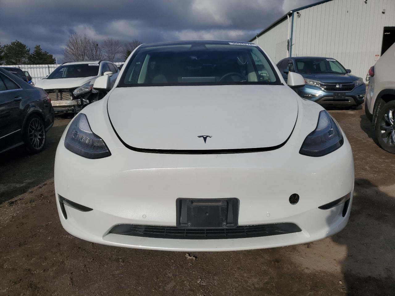 2022 TESLA MODEL Y  VIN:7SAYGDEE6NF358564