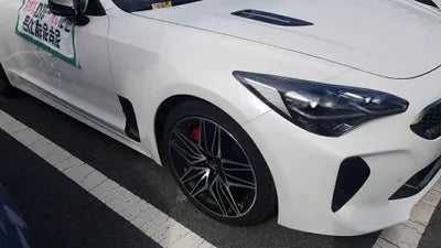 2021 Kia Stinger KNAE351DDMS096862 VIN:KNAE351DDMS096862