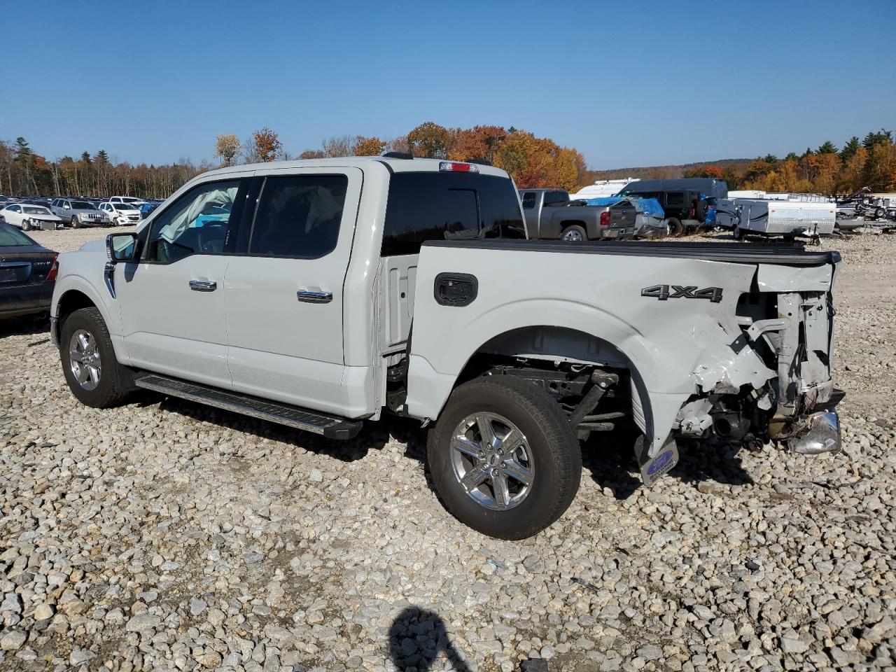 2024 FORD F150 XLT VIN:1FTFW3L53RKD07729