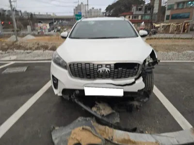 2019 Kia Sorento KNAPG81BDKA540068 VIN:KNAPG81BDKA540068