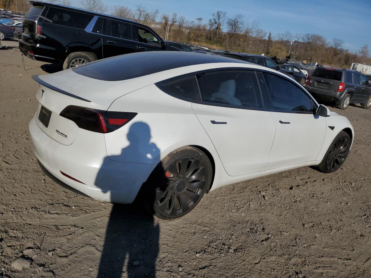 2023 TESLA MODEL 3  VIN:5YJ3E1EC9PF585681
