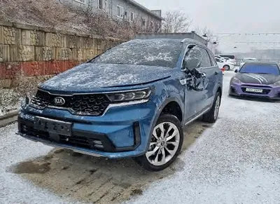 2021 Kia Sorento KNARH81FGMA075279 VIN:KNARH81FGMA075279