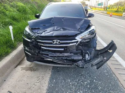 2017 Hyundai Tucson KMHJ381ABJU495682 VIN:KMHJ381ABJU495682