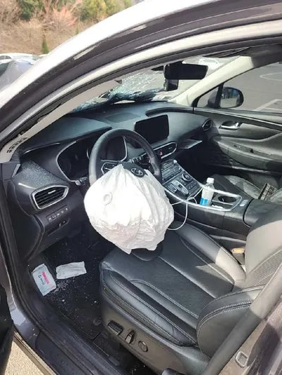 2021 Hyundai Santa FE KMHS281LGMU408378 VIN:KMHS281LGMU408378