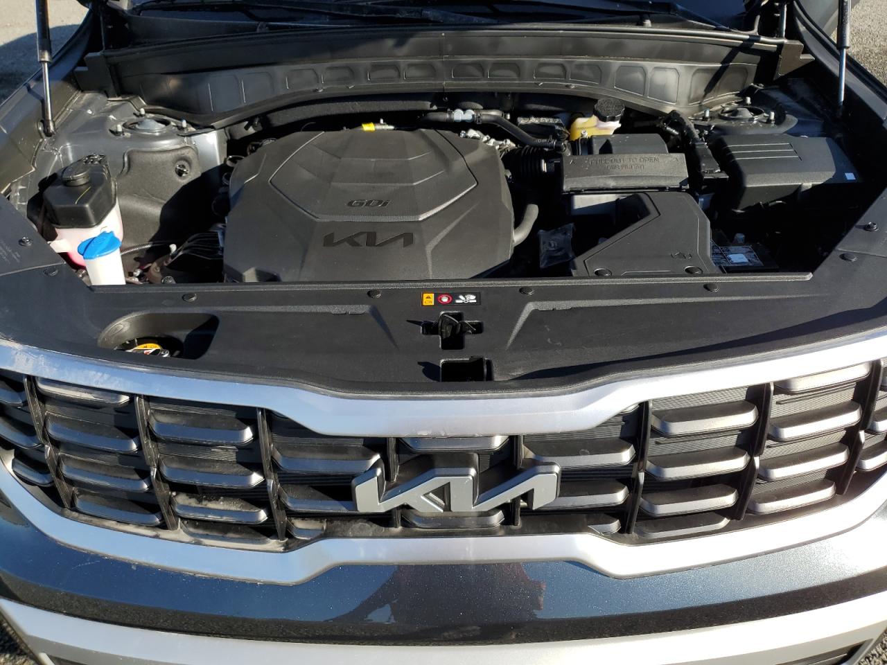 2024 KIA TELLURIDE S VIN:5XYP64GC9RG553175