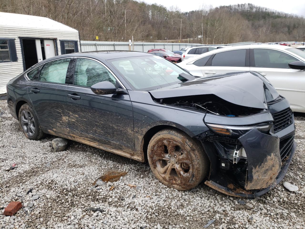 2024 HONDA ACCORD EX VIN:1HGCY1F34RA038692