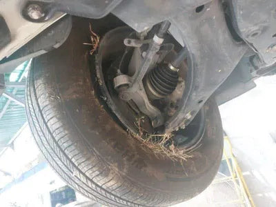 2021 Hyundai Santa FE KMHS3811BNU015529 VIN:KMHS3811BNU015529
