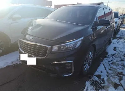 2019 Kia Carnival KNAME81ABKS516689 VIN:KNAME81ABKS516689