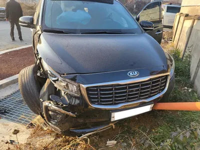 2018 Kia Carnival KNAME811BKS517205 VIN:KNAME811BKS517205