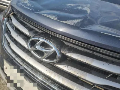 2017 Hyundai Santa FE KMHSW81UBJU831174 VIN:KMHSW81UBJU831174