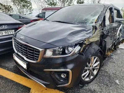 2018 Kia Carnival KNAMC81ABKS476904 VIN:KNAMC81ABKS476904