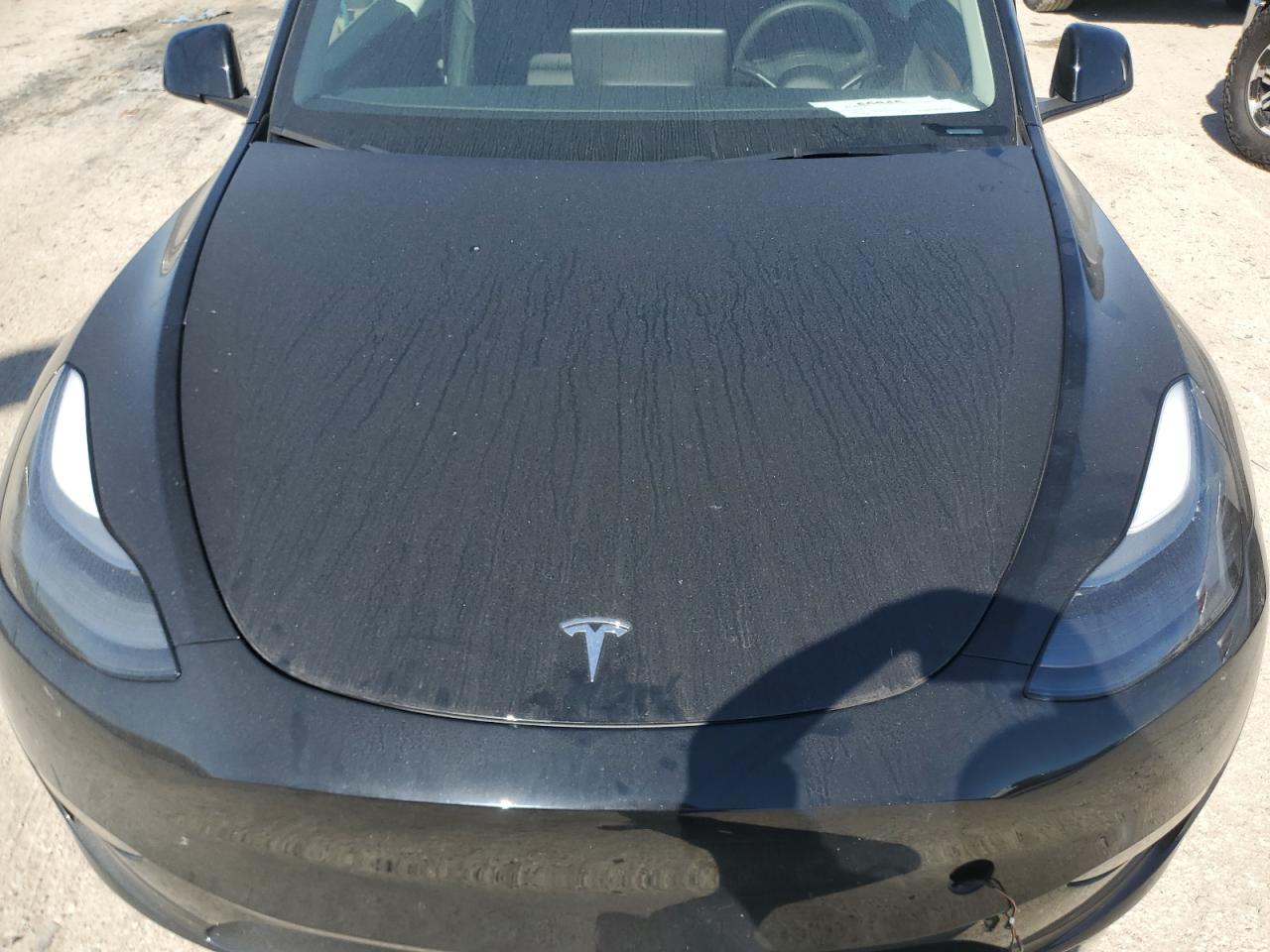 2024 TESLA MODEL Y  VIN:7SAYGDEF2RF043520