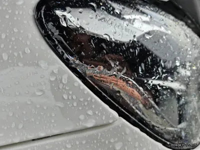 2021 Mercedes-Benz E 250 VIN: