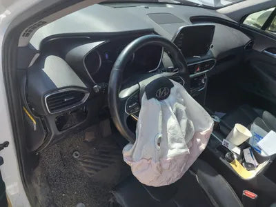 2020 Hyundai Santa FE KMHS281BDLU246600 VIN:KMHS281BDLU246600