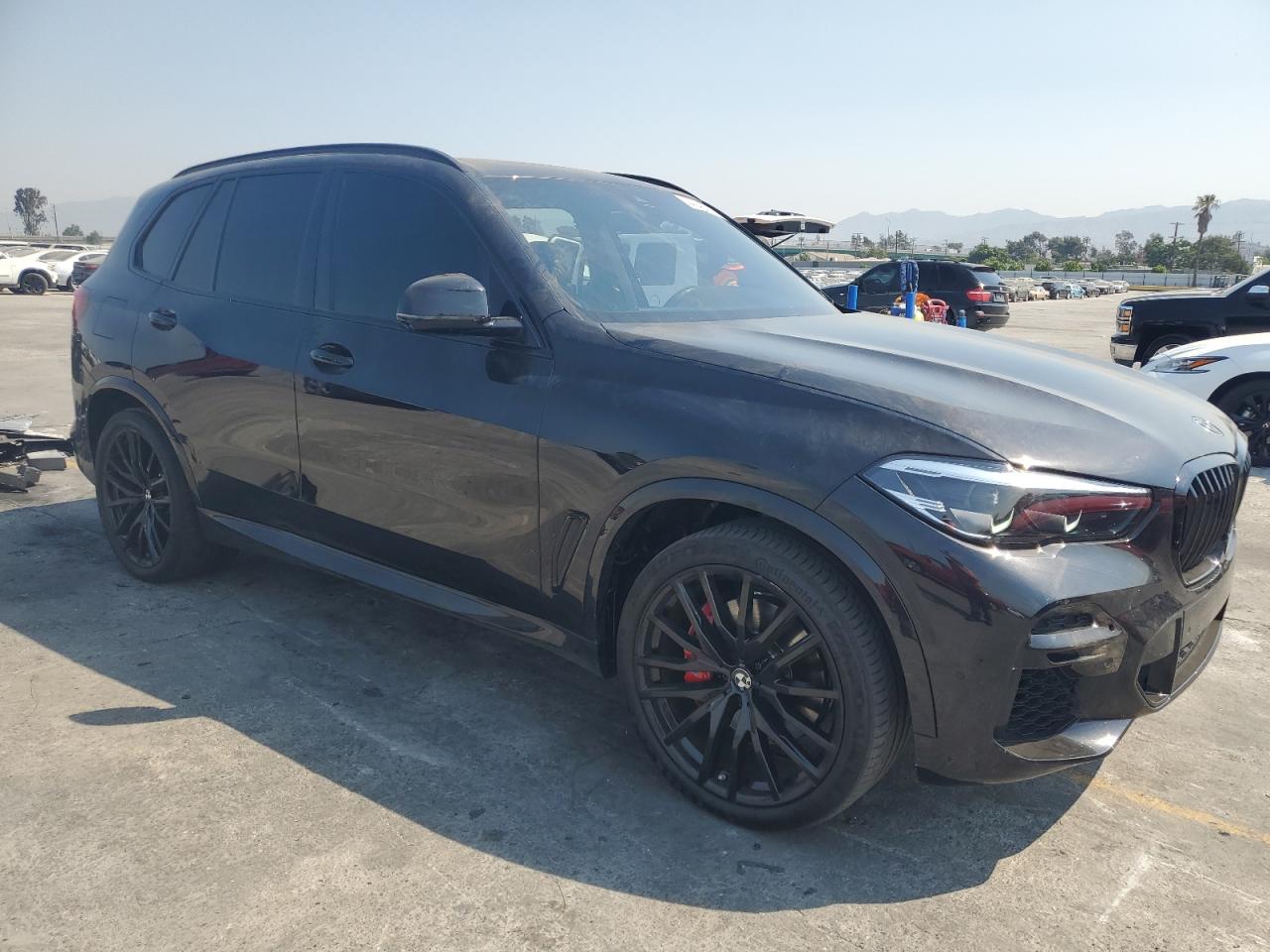 2023 BMW X5 SDRIVE 40I VIN:5UXCR4C09P9P54699