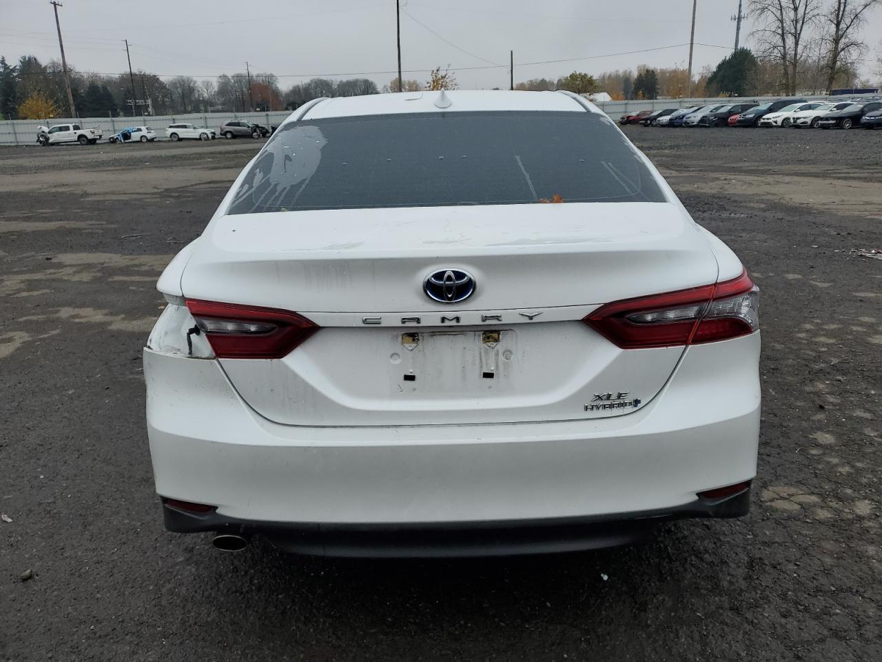 2023 TOYOTA CAMRY XLE VIN:4T1F31AK1PU612990