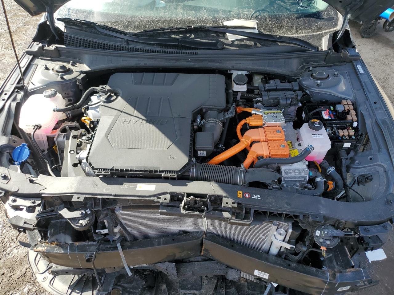 2024 HYUNDAI ELANTRA BLUE VIN:KMHLM4DJ8RU113692