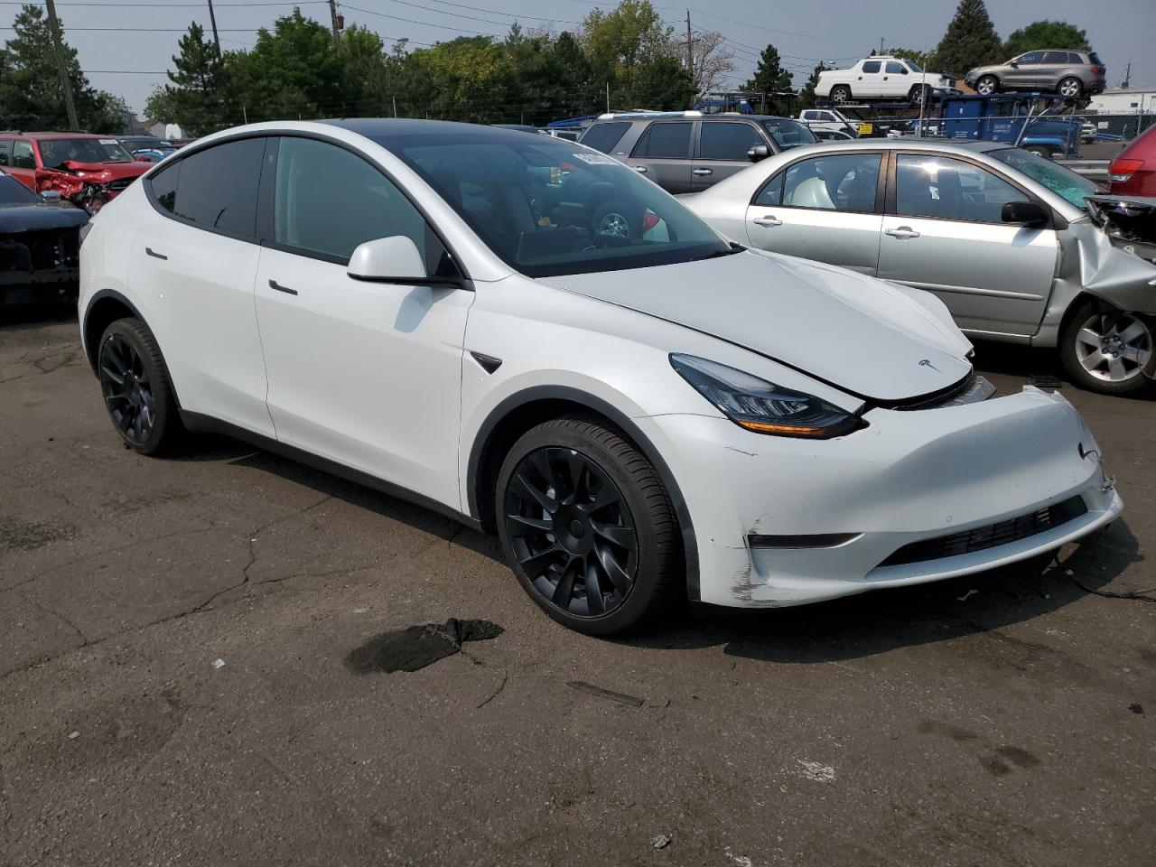 2022 TESLA MODEL Y  VIN:7SAYGDEE6NF321174