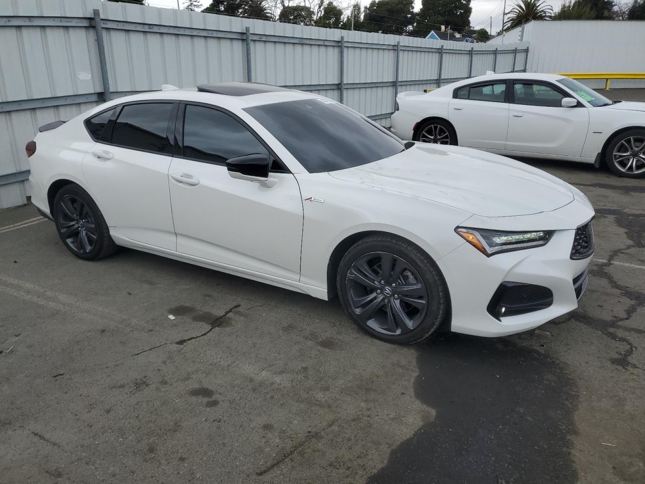 2023 ACURA TLX A-SPEC VIN:19UUB6F58PA004711