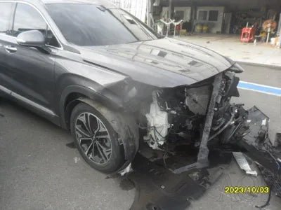 2019 Hyundai Santa FE KMHS381ABKU176405 VIN:KMHS381ABKU176405