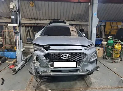 2020 Hyundai Kona KMHK4815GLU447679 VIN:KMHK4815GLU447679