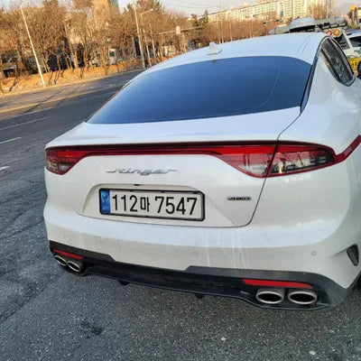 2021 Kia Stinger KNAE351DDMS099818 VIN:KNAE351DDMS099818