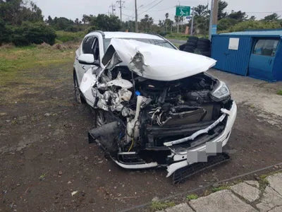 2017 Hyundai Santa FE KMHSW81UDJU818201 VIN:KMHSW81UDJU818201