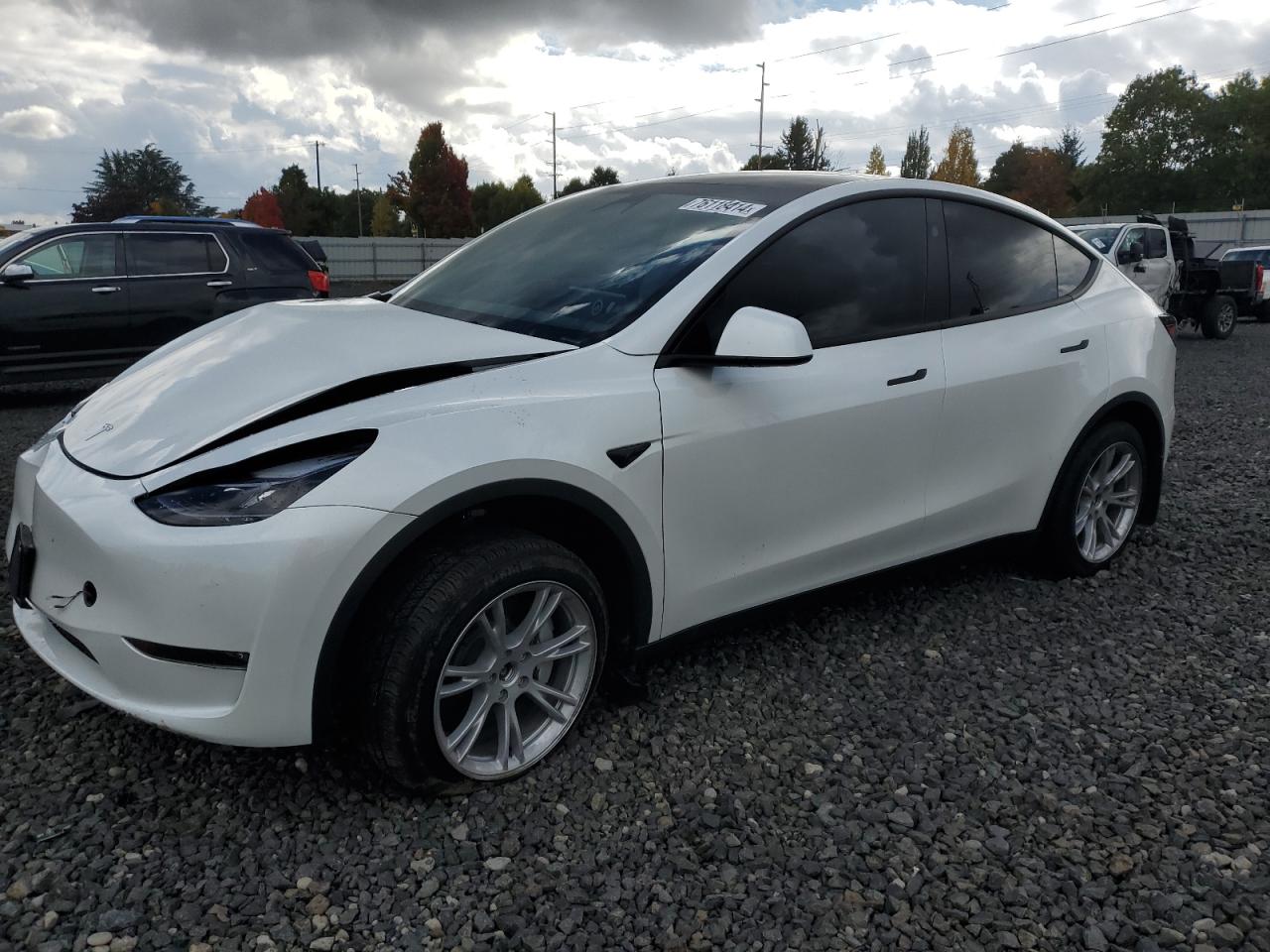 2024 TESLA MODEL Y  VIN:7SAYGDEE1RF084714