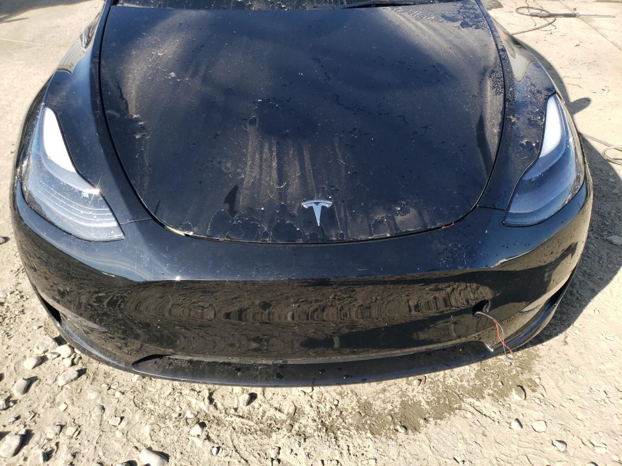2023 TESLA MODEL Y  VIN:7SAYGDEE3PF889997