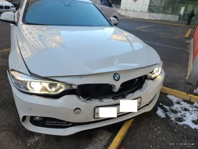 2016 BMW 420 WBA4E9108GG289696 VIN:WBA4E9108GG289696