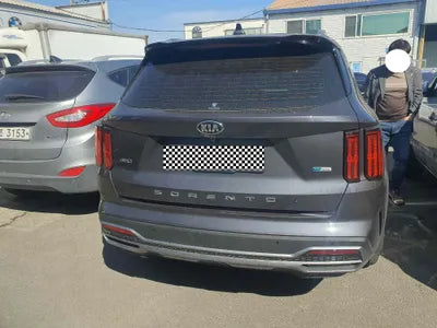 2020 Kia Sorento KNARF81GDMA019140 VIN:KNARF81GDMA019140